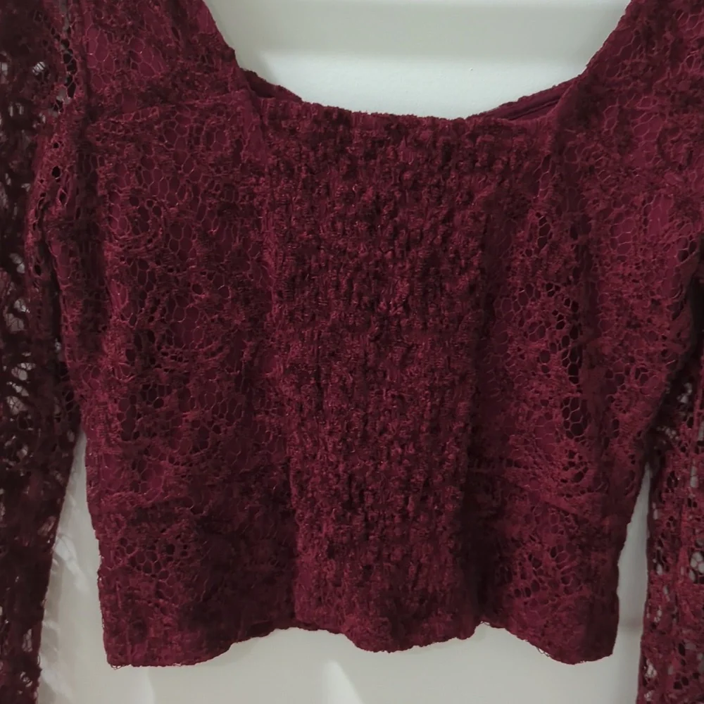 Anthropologie Burgundy Lace Velvet Long Sleeve Blouse Top